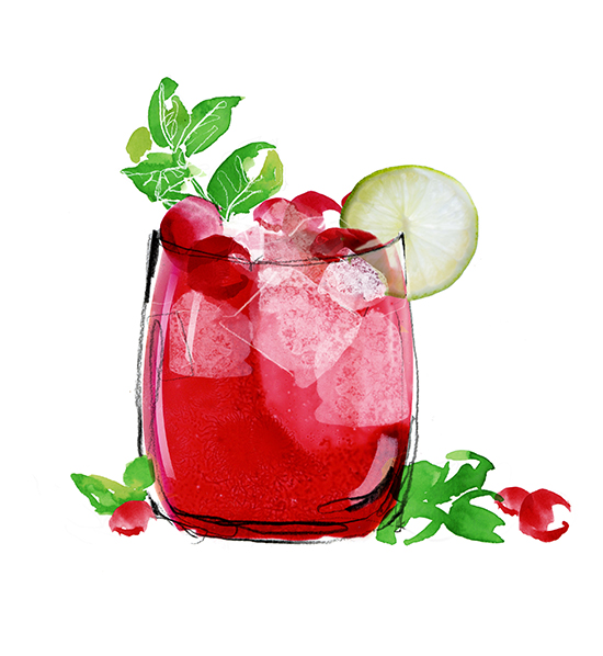 Cranberry-gin-cocktail-recipe