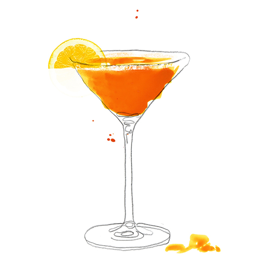 sidecar-gin-cocktail-illustrations